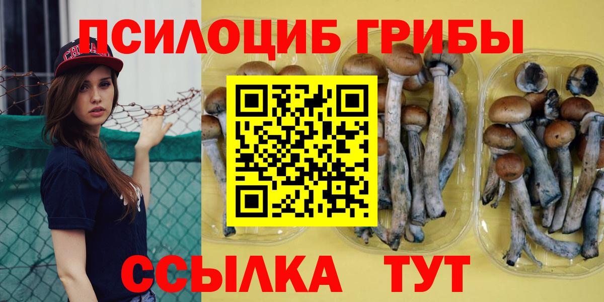 Алушта  Галлюциногенные грибы MAGIC MUSHROOMS  Галлюциногенные грибы прущие грибы  Вход с VPN 